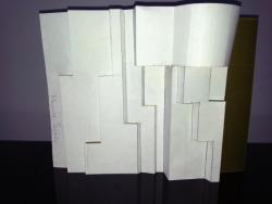 24-Пластика бумаги Складка- Глухова Марина.jpg